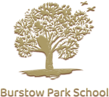 Burstow Park School